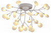 Потолочная люстра EVOLUCE Avola SLE250102-27
