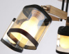 Потолочная люстра Ambrella Light TR TR9529