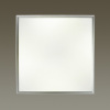 Накладной светильник Odeon Light Bernar 4624/48CL