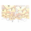 Подвесная люстра ST-Luce Ambrela SL1110.503.15