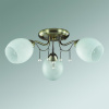 Потолочная люстра Lumion Veronica 3145/3C