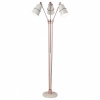 Торшер ST-Luce Sorspreso SL458.525.03