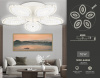 Потолочная люстра Ambrella Light FA FA4015