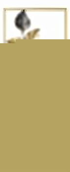 Панно (25x61x4 см) Tomas Stern 93004