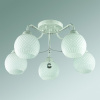 Потолочная люстра Lumion Elodia 3121/5C