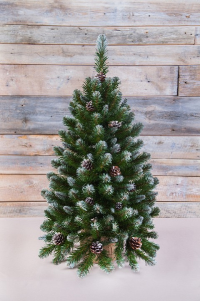 Ель новогодняя [90 см] Императрица с шишками в мешочке заснеженная 73810