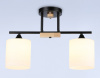 Светильник на штанге Ambrella Light TR TR9543