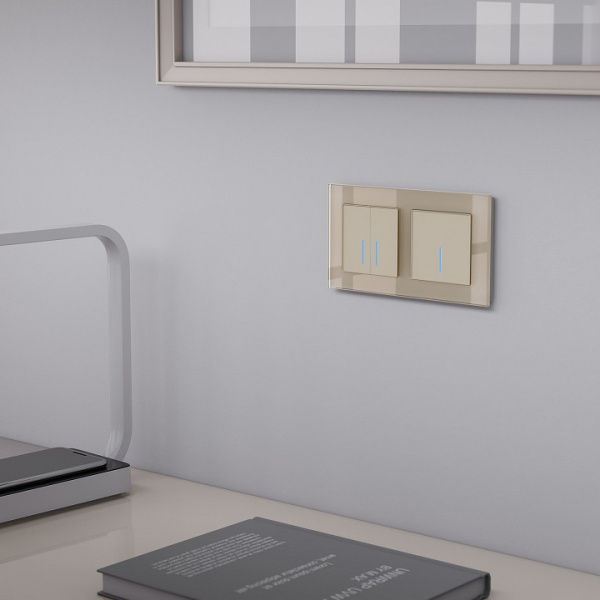 Выключатель сенсорый одноклавишный с подсветкой, без рамки Werkel шампань W4510111