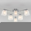 Потолочная люстра Eurosvet Delfi 30162/6 хром