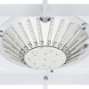 Накладной светильник Paulmann W-D DS 70298