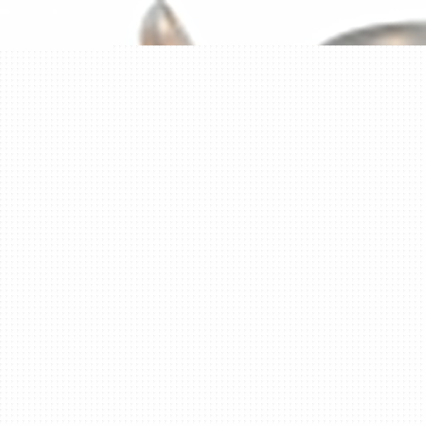 Потолочная люстра Arte Lamp Libellula A8626PL-5WG