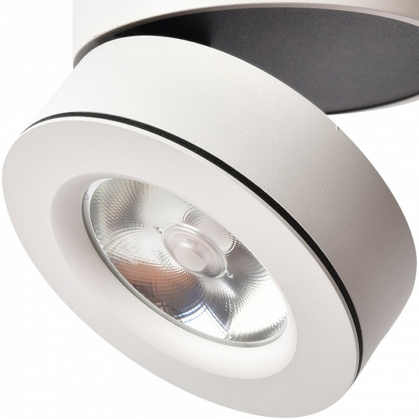 Накладной светильник Arte Lamp 2511 A2511PL-1WH