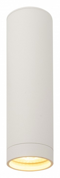 Накладной светильник Denkirs DK2000 DK2052-WH