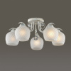 Потолочная люстра Lumion Verena 3254/5C