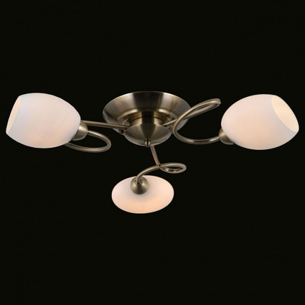 Потолочная люстра MW-Light Фиеста 9 267014403
