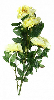 Букет (100 см) Пион 23-231