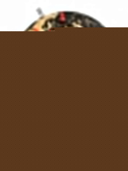 Фигура настольная (25х30 см) Cork Globe SK CORKGLOBE1