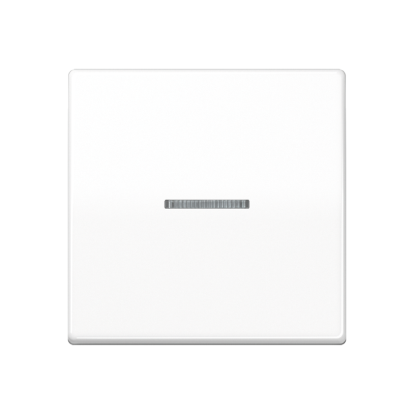 JUNG AS 500 Белая Клавиша 1-ая с/п антибактериальная