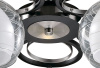 Потолочная люстра Odeon Light Vesonto 2774/5C