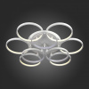 Потолочная люстра ST-Luce Erto SL904.512.09