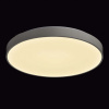 Накладной светильник MW-Light Ривз 674013101