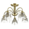 Люстра на штанге Lumion Hortensa 3289/5C