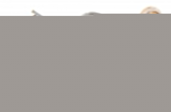 Люстра на штанге Rivoli Georgiana Б0055879