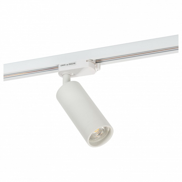 Светильник на штанге Denkirs DK620 DK6202-WH