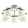 Потолочная люстра Odeon Light Salanso 2931/5C