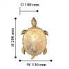 Накладной светильник Favourite Turtle 2254-1W