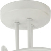 Потолочная люстра Rivoli Naturale S3 WT Б0038093