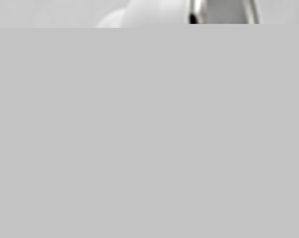 Спот Lussole Littleton LSN-6201-03