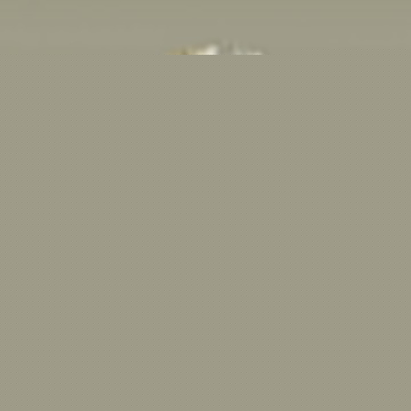 Настольная лампа декоративная Odeon Light Ventaglio 4870/1T