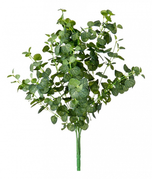 Ветка (50 см) Эвкалипт 21-1001