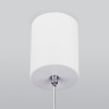 Подвесной светильник Elektrostandard DLS028 a047769