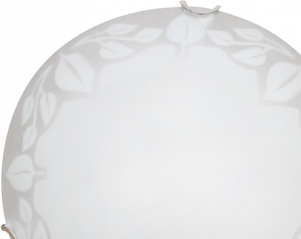 Накладной светильник Arte Lamp Symphony A4020PL-1CC
