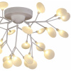Потолочная люстра EVOLUCE Avola SLE250102-27
