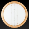 Накладной светильник TopLight Madison TL9033Y-02PN