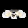 Накладной светильник ST-Luce Elleto SL1483.402.05