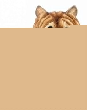 Статуэтка (18.5х15х22 см) ART 100-586