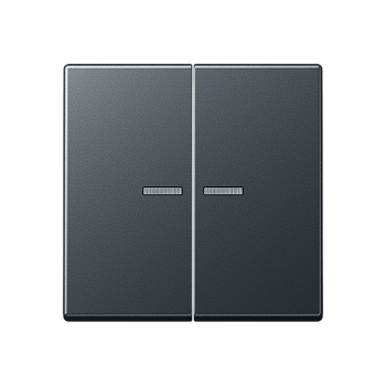 JUNG Матовый антрацит Клавиши для сдвоенных выключателей; термопласт; с окошком