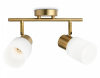 Спот Ambrella Light TR TR3969