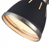 Настольная лампа офисная Freya Nina FR5151-TL-01-B