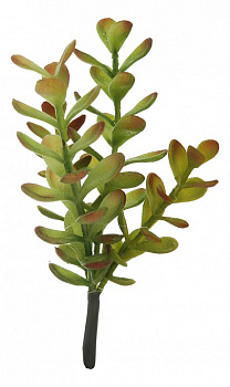 Ветка (21 см) Денежное дерево 58007900