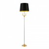 Торшер ST-Luce Velossa SL1123.205.01