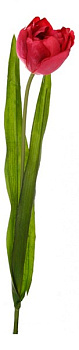 Цветок (57 см) Тюльпан махровый 58014100