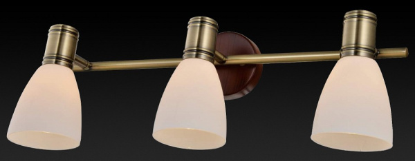 Спот TopLight Sharyl TL3720Y-03BB