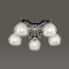 Потолочная люстра Lumion Ampolla 3081/5C