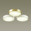 Накладной светильник Lumion Dilip 3646/60CL