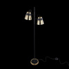 Торшер Maytoni Trento MOD614FL-02BS
